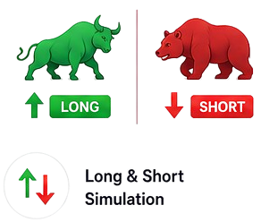 Long and Short Simulation